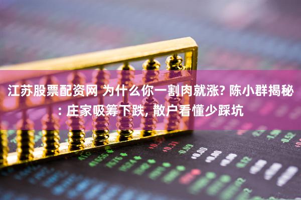 江苏股票配资网 为什么你一割肉就涨? 陈小群揭秘: 庄家吸筹下跌, 散户看懂少踩坑